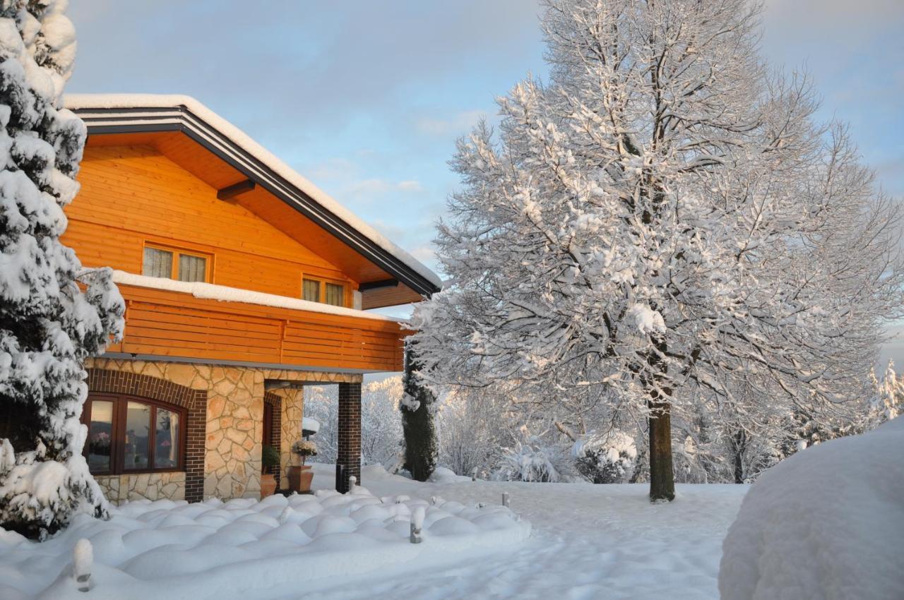 Guesthouse Dolinsek Sevnica المظهر الخارجي الصورة