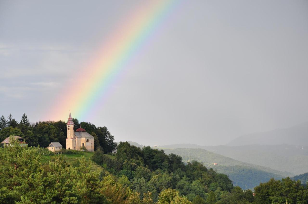 Guesthouse Dolinsek Sevnica المظهر الخارجي الصورة
