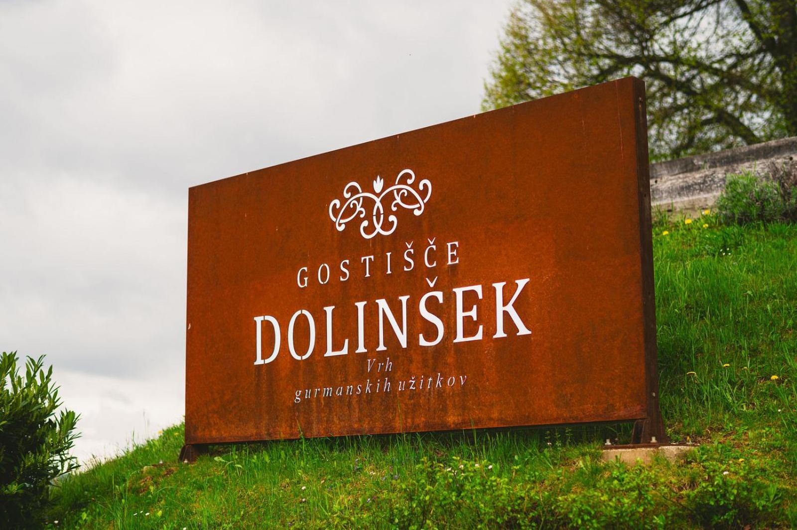 Guesthouse Dolinsek Sevnica المظهر الخارجي الصورة